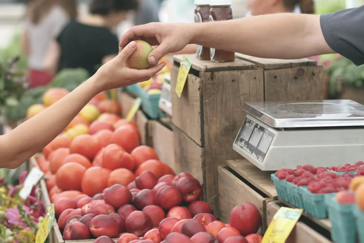 Consommation et production durables