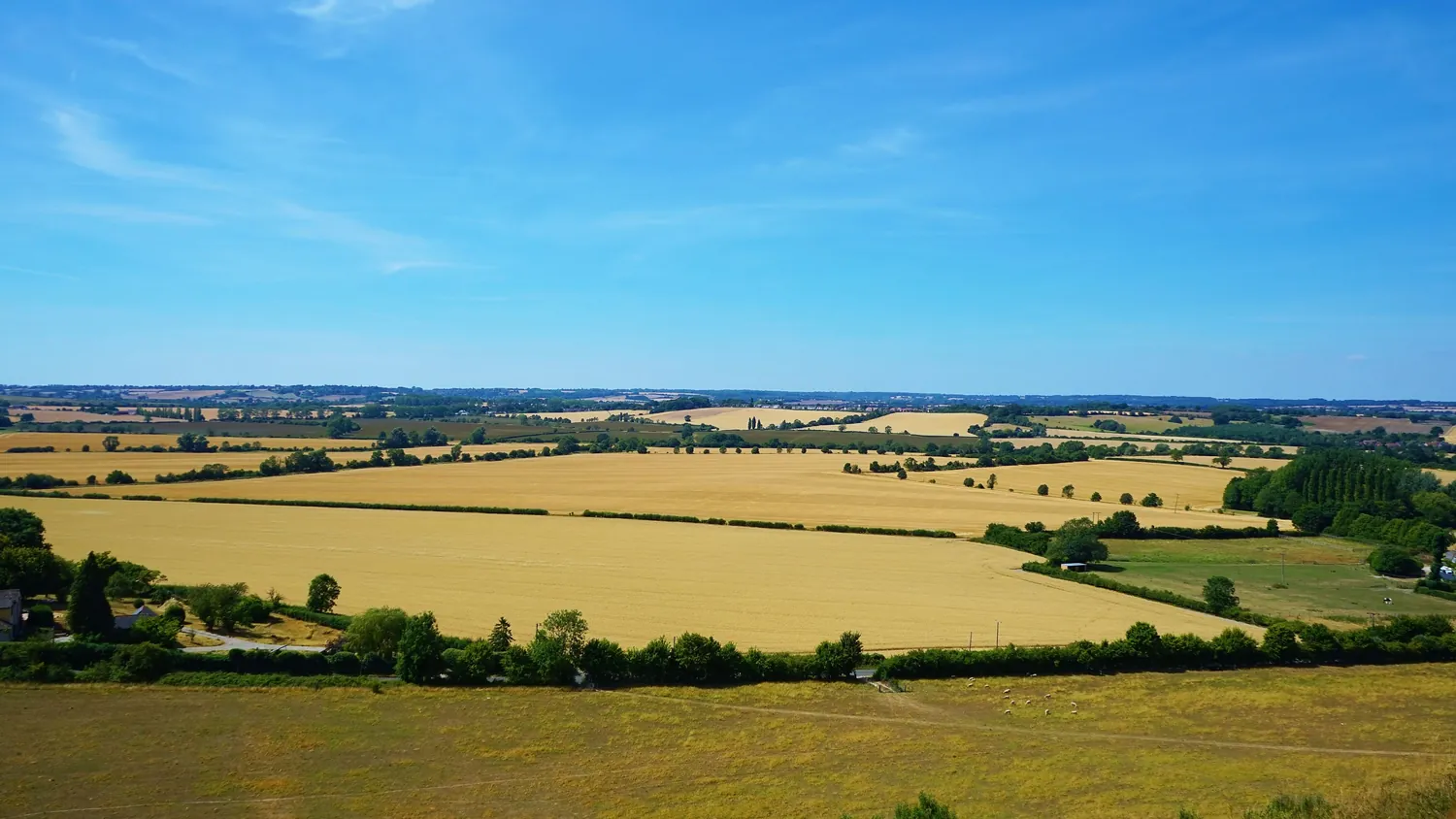 Cultivated plots in balance with preserved groves and ponds