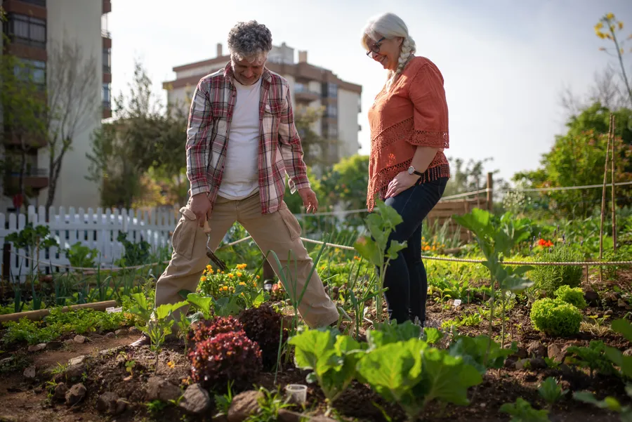 Deux personnes cultivant un potager partagé en ville